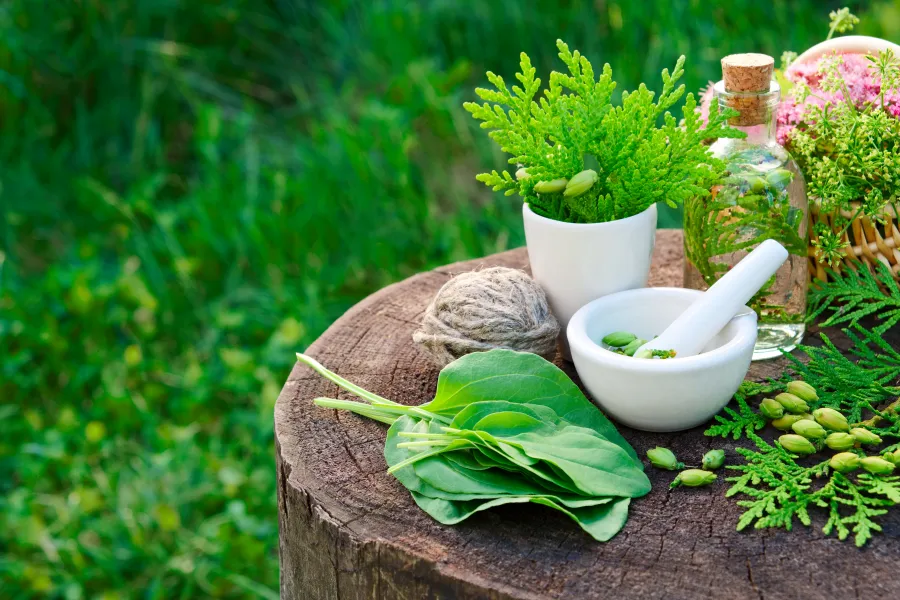 herbs.jpg